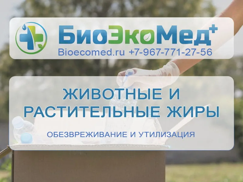 Животные и растительные жиры